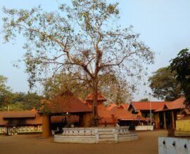 kodungallur-sree-kurumba-bhagavathy-temple-history