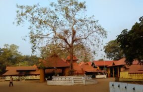 kodungallur-sree-kurumba-bhagavathy-temple-history