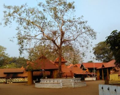 kodungallur-sree-kurumba-bhagavathy-temple-history