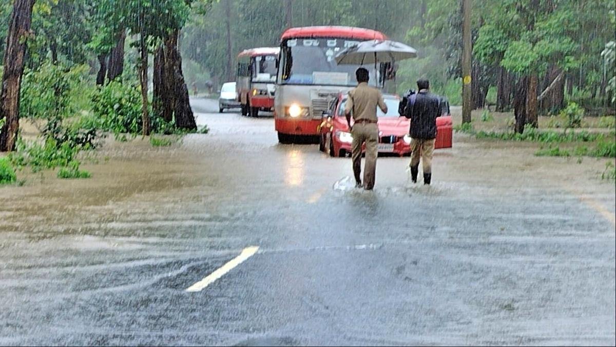 Wayanad district holiday red alert, Wayanad collector holiday announcement August 5, Kerala rain red alert Wayanad schools, Thamarassery churam traffic restriction