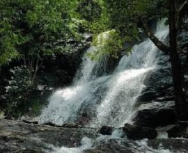 amarad-waterfall-kattippara-thamarassery-kozhikode