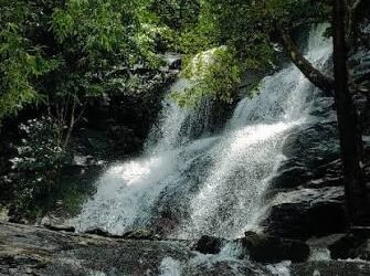 amarad-waterfall-kattippara-thamarassery-kozhikode