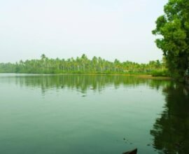 cheepunchira-karupadanna-kodungallur-tourism-guide