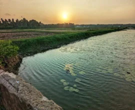 marekkad-village-mala-thrissur-history-tourism