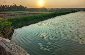 marekkad-village-mala-thrissur-history-tourism