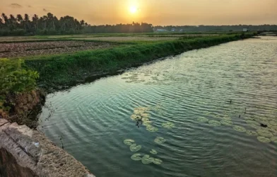 marekkad-village-mala-thrissur-history-tourism
