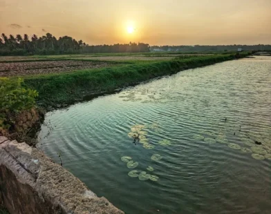 marekkad-village-mala-thrissur-history-tourism