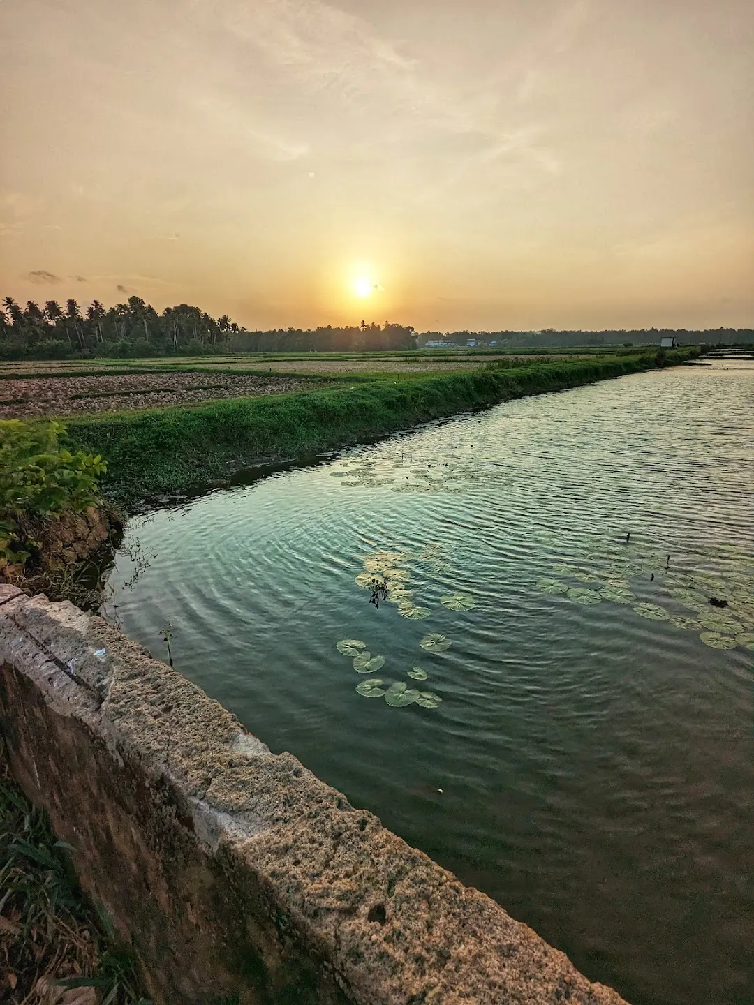 marekkad-village-mala-thrissur-history-tourism