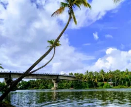 poovathumkadavu-mathilakam-thrissur-village-guide