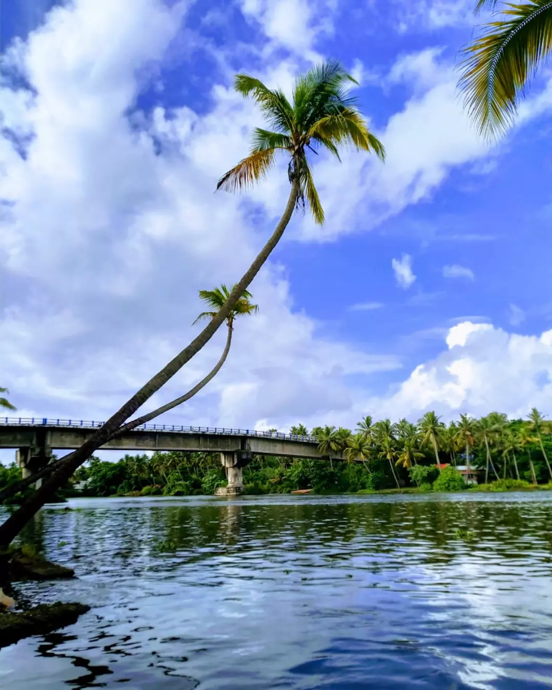 poovathumkadavu-mathilakam-thrissur-village-guide