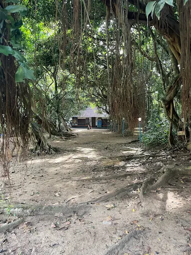 sanghukulangarakkavu-temple-history-sreenarayanapuram