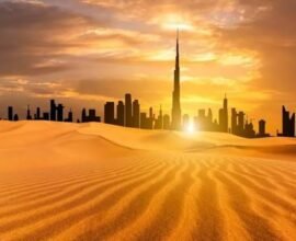uae-weather-high-temperature-49-degrees-ncm-warning